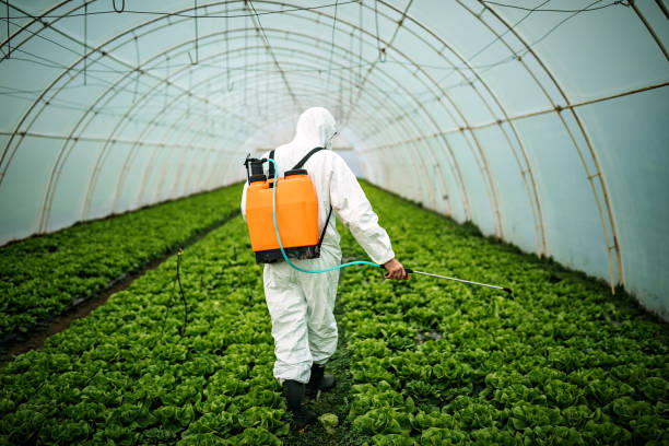 Pest Control for Restaurants in Dickson City, PA