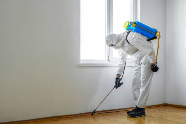 Reliable Dickson City, PA Pest Control Solutions
